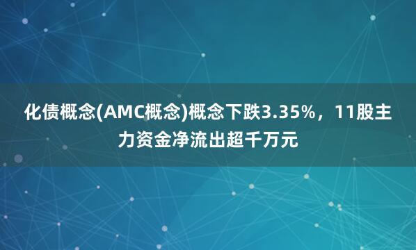 化债概念(AMC概念)概念下跌3.35%，11股主力资金净流出超千万元