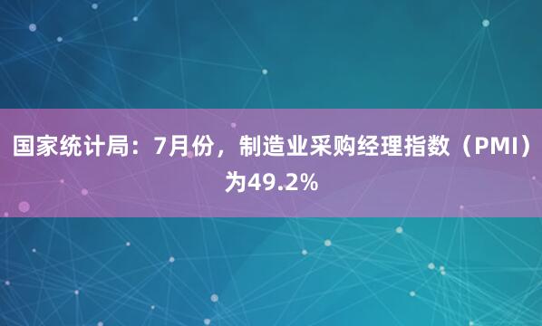 国家统计局：7月份，制造业采购经理指数（PMI）为49.2%