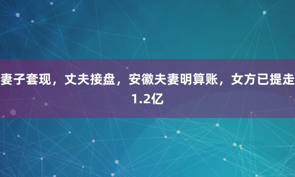 妻子套现，丈夫接盘，安徽夫妻明算账，女方已提走1.2亿