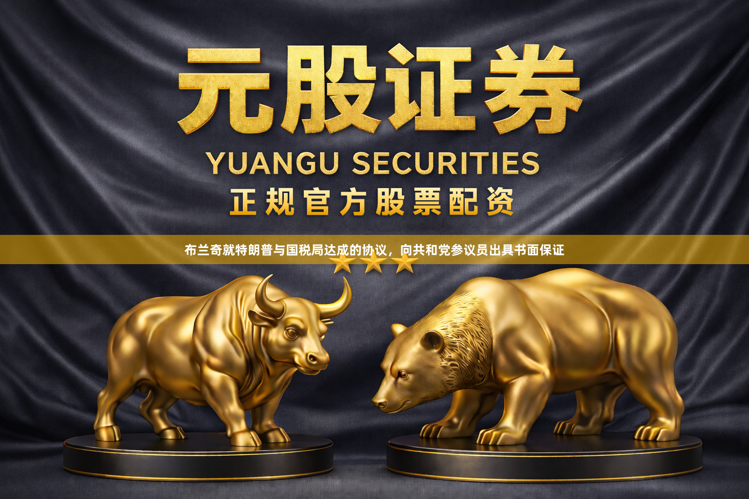 布兰奇就特朗普与国税局达成的协议，向共和党参议员出具书面保证