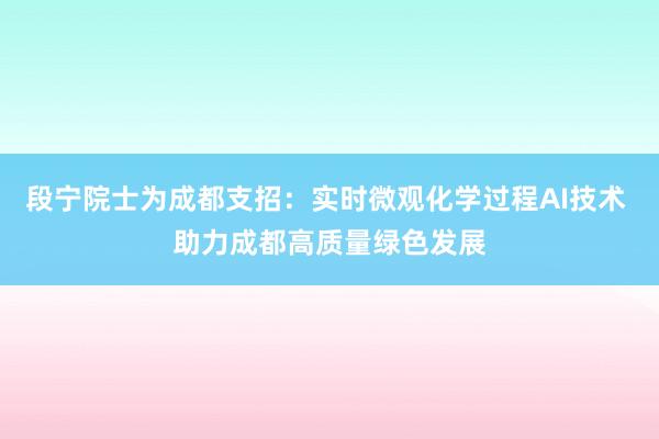 段宁院士为成都支招：实时微观化学过程AI技术 助力成都高质量绿色发展