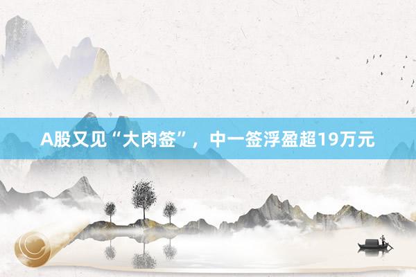 A股又见“大肉签”，中一签浮盈超19万元