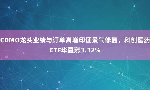 CDMO龙头业绩与订单高增印证景气修复，科创医药ETF华夏涨3.12%