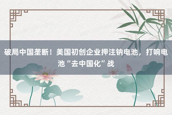 破局中国垄断!美国初创企业押注钠电池,打响电池“去中国化”战