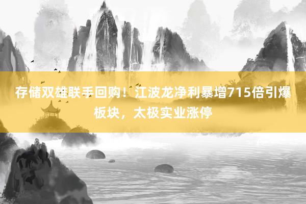 存储双雄联手回购！江波龙净利暴增715倍引爆板块，太极实业涨停