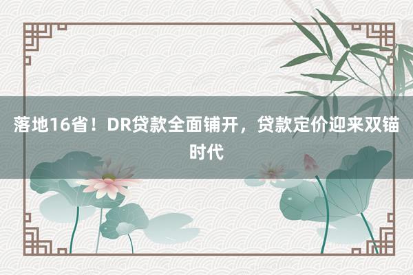 落地16省！DR贷款全面铺开，贷款定价迎来双锚时代