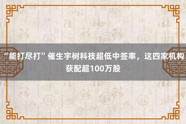 “能打尽打”催生宇树科技超低中签率，这四家机构获配超100万股
