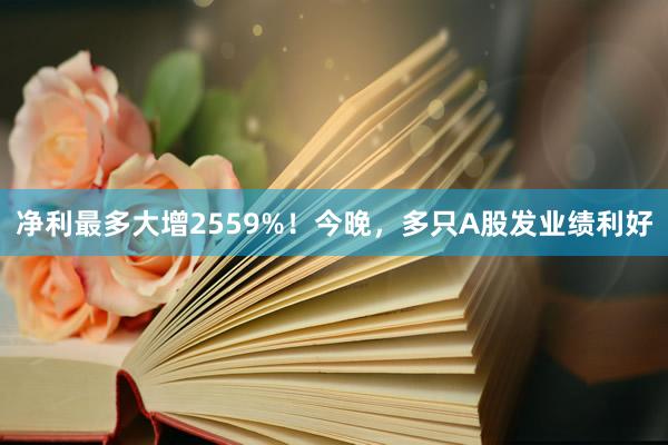 净利最多大增2559%!今晚,多只A股发业绩利好