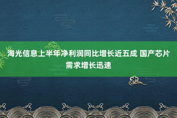 海光信息上半年净利润同比增长近五成 国产芯片需求增长迅速