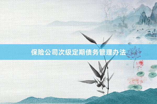 保险公司次级定期债务管理办法