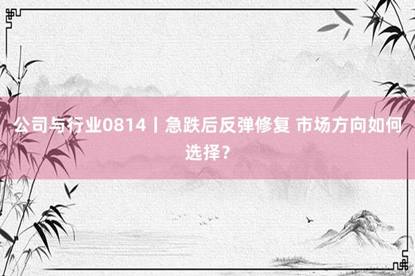 公司与行业0814丨急跌后反弹修复 市场方向如何选择？