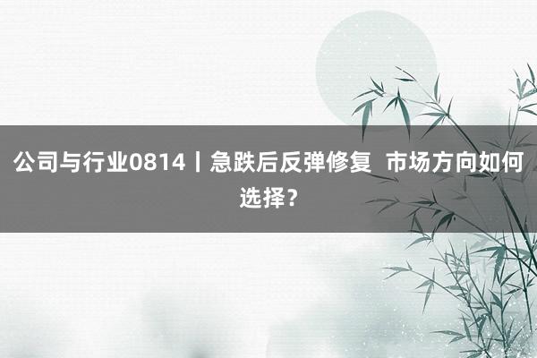 公司与行业0814丨急跌后反弹修复  市场方向如何选择？