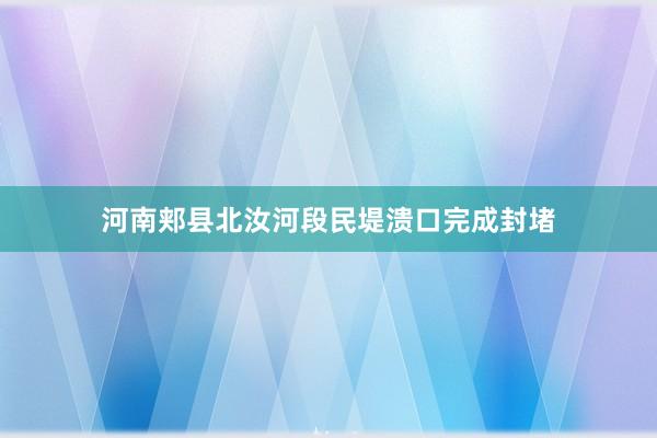 河南郏县北汝河段民堤溃口完成封堵