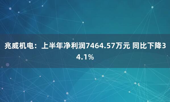 兆威机电：上半年净利润7464.57万元 同比下降34.1%