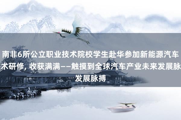 南非6所公立职业技术院校学生赴华参加新能源汽车技术研修, 收获满满——触摸到全球汽车产业未来发展脉搏