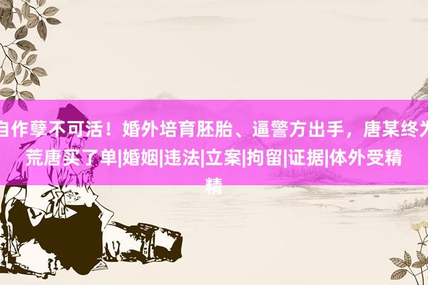 自作孽不可活！婚外培育胚胎、逼警方出手，唐某终为荒唐买了单|婚姻|违法|立案|拘留|证据|体外受精