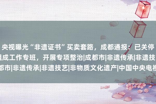 央视曝光“非遗证书”买卖套路，成都通报：已关停涉事“传承人网”，组成工作专班，开展专项整治|成都市|非遗传承|非遗技艺|非物质文化遗产|中国中央电视台