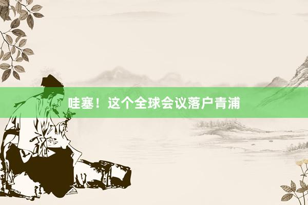 哇塞！这个全球会议落户青浦