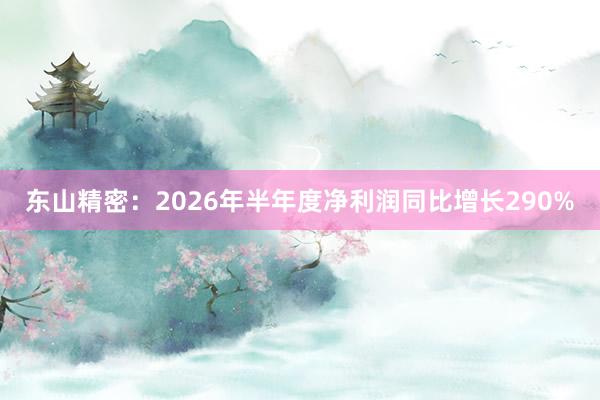 东山精密：2026年半年度净利润同比增长290%