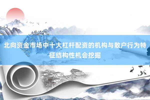 北向资金市场中十大杠杆配资的机构与散户行为特征结构性机会挖掘