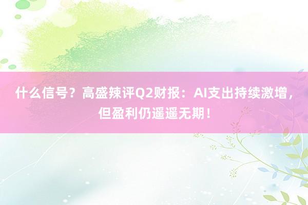 什么信号？高盛辣评Q2财报：AI支出持续激增，但盈利仍遥遥无期！