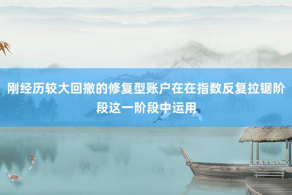 刚经历较大回撤的修复型账户在在指数反复拉锯阶段这一阶段中运用
