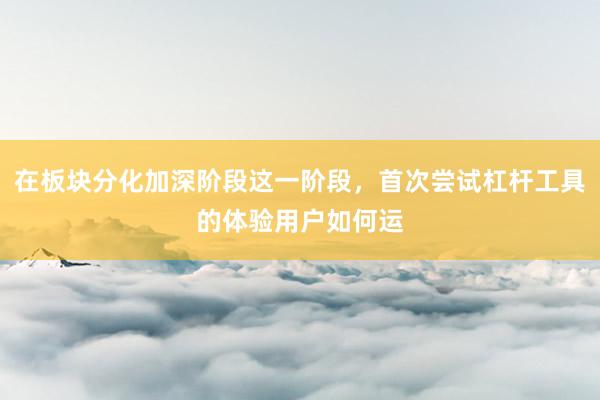 在板块分化加深阶段这一阶段，首次尝试杠杆工具的体验用户如何运