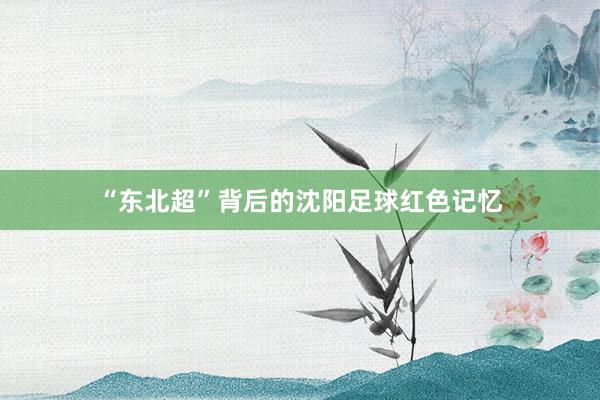 “东北超”背后的沈阳足球红色记忆