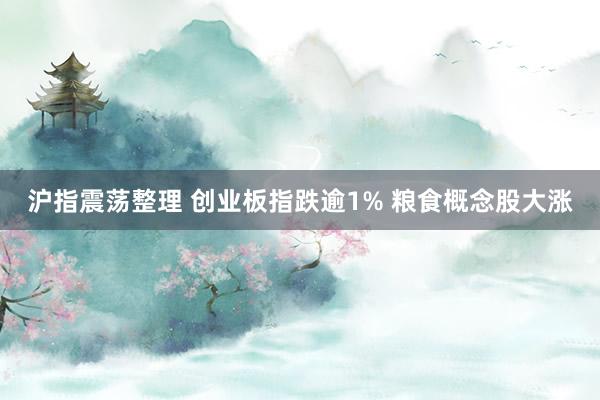 沪指震荡整理 创业板指跌逾1% 粮食概念股大涨