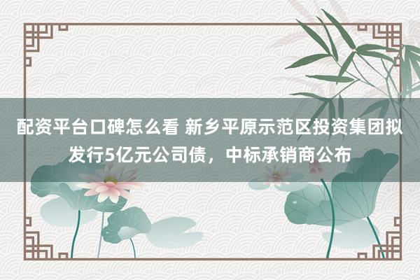 配资平台口碑怎么看 新乡平原示范区投资集团拟发行5亿元公司债，中标承销商公布