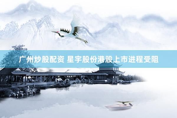 广州炒股配资 星宇股份港股上市进程受阻