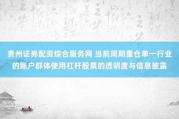 贵州证券配资综合服务网 当前周期重仓单一行业的账户群体使用杠杆股票的透明度与信息披露
