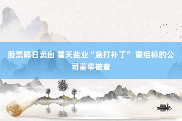 股票隔日卖出 雪天盐业“急打补丁” 重组标的公司董事被查