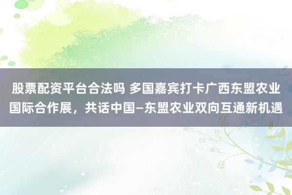 股票配资平台合法吗 多国嘉宾打卡广西东盟农业国际合作展，共话中国—东盟农业双向互通新机遇