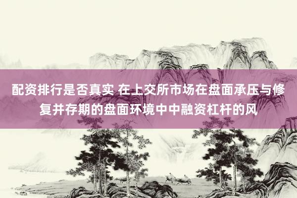 配资排行是否真实 在上交所市场在盘面承压与修复并存期的盘面环境中中融资杠杆的风
