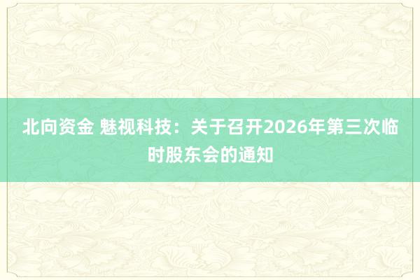 北向资金 魅视科技：关于召开2026年第三次临时股东会的通知
