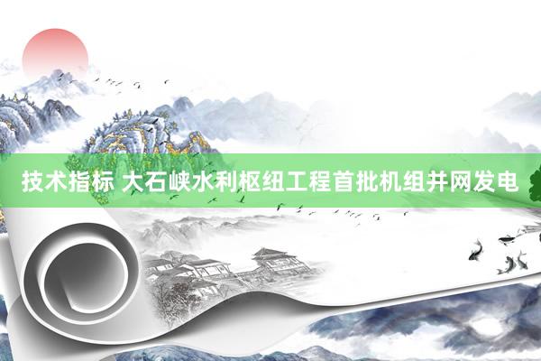 技术指标 大石峡水利枢纽工程首批机组并网发电